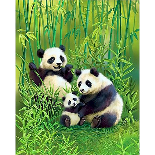 Bamboo Family